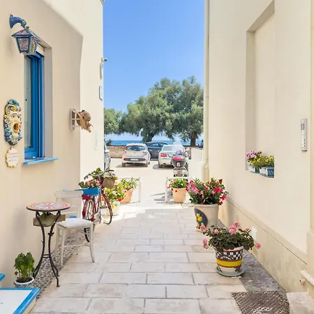 Tumy's לינה וארוחת בוקר 4*